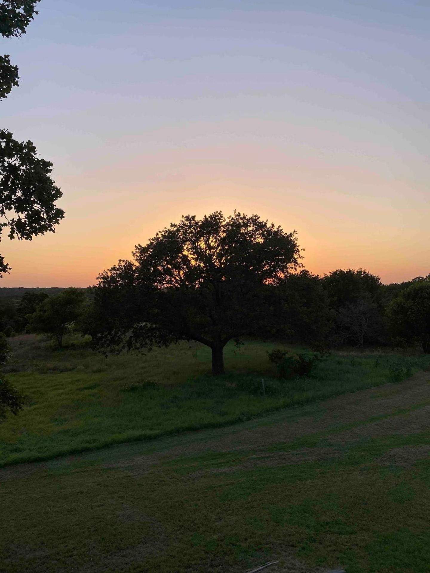 Nature Retreateclectic Country Boho Farmhouse Nocona المظهر الخارجي الصورة