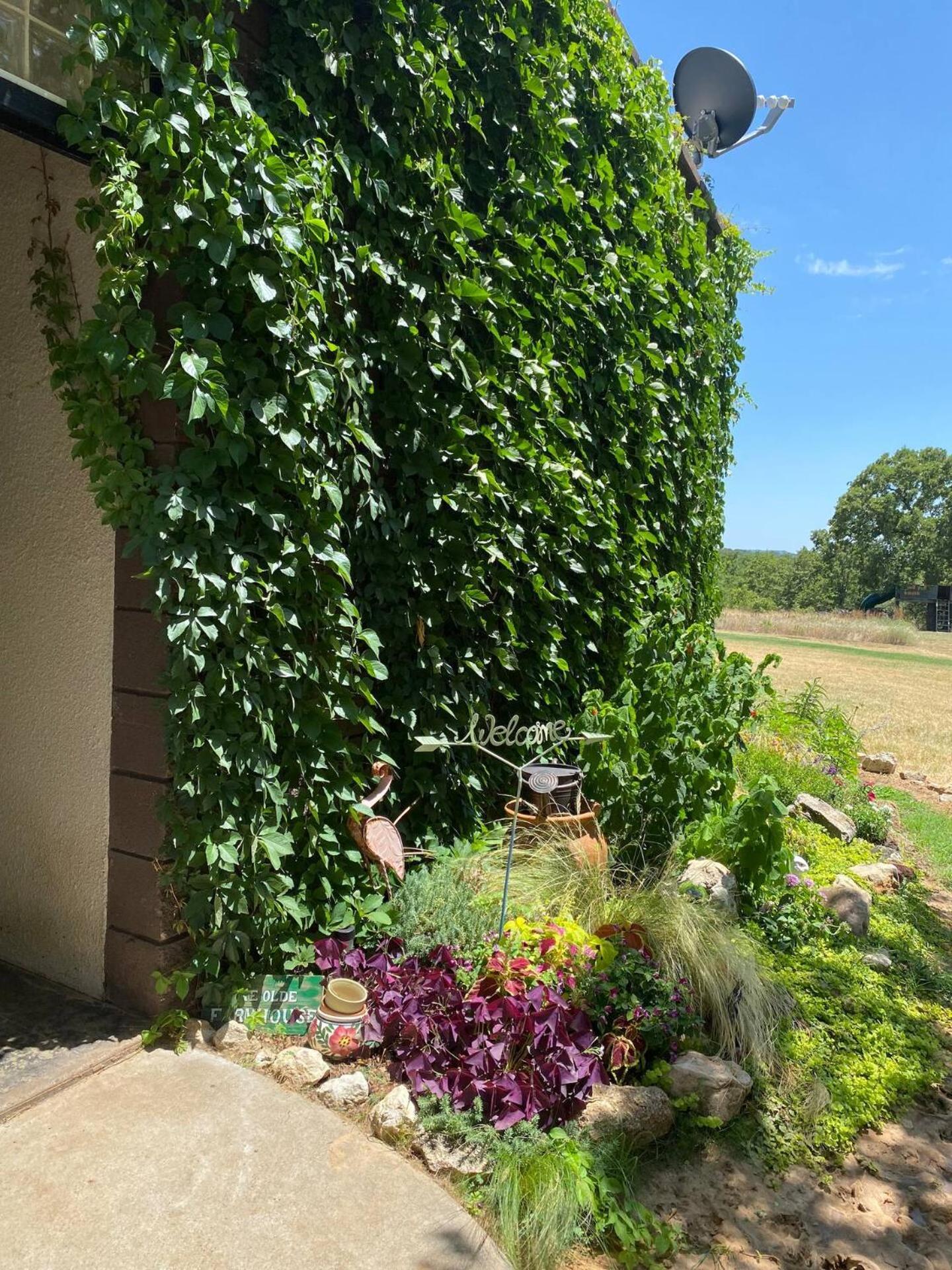 Nature Retreateclectic Country Boho Farmhouse Nocona المظهر الخارجي الصورة